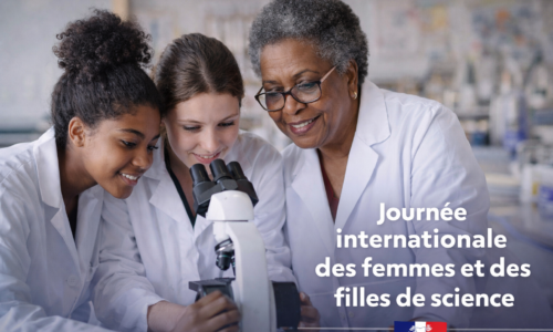 Journée internationale des femmes et des filles de science – 2026 Journée internationale des femmes et des filles de science – 2026