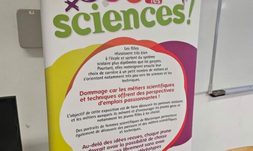 Le LPO Victor Anicet obtient le Label Égalité filles-garçons
